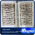frozen baby squid with competitive price